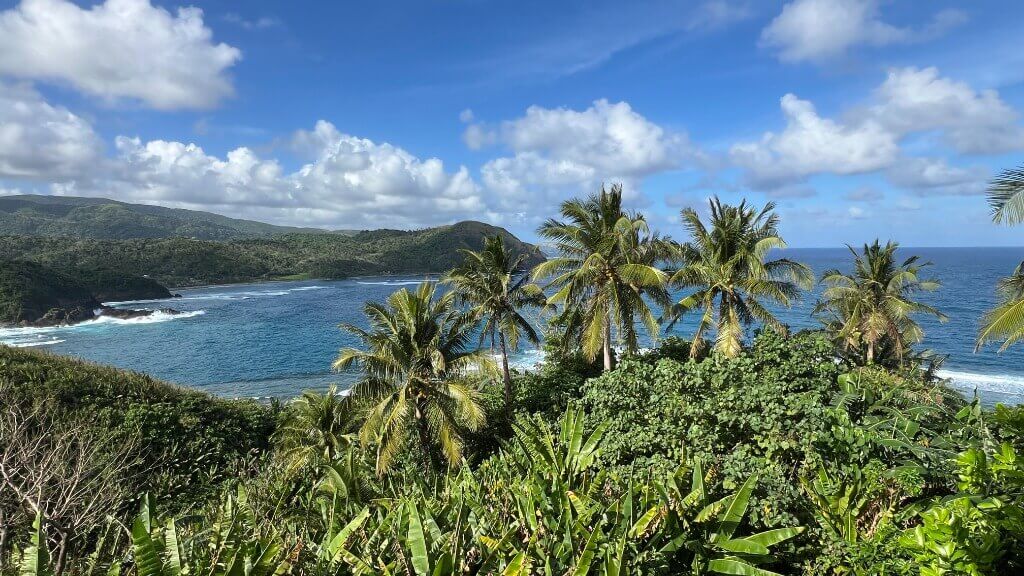 Lush tropical landscape and coastline