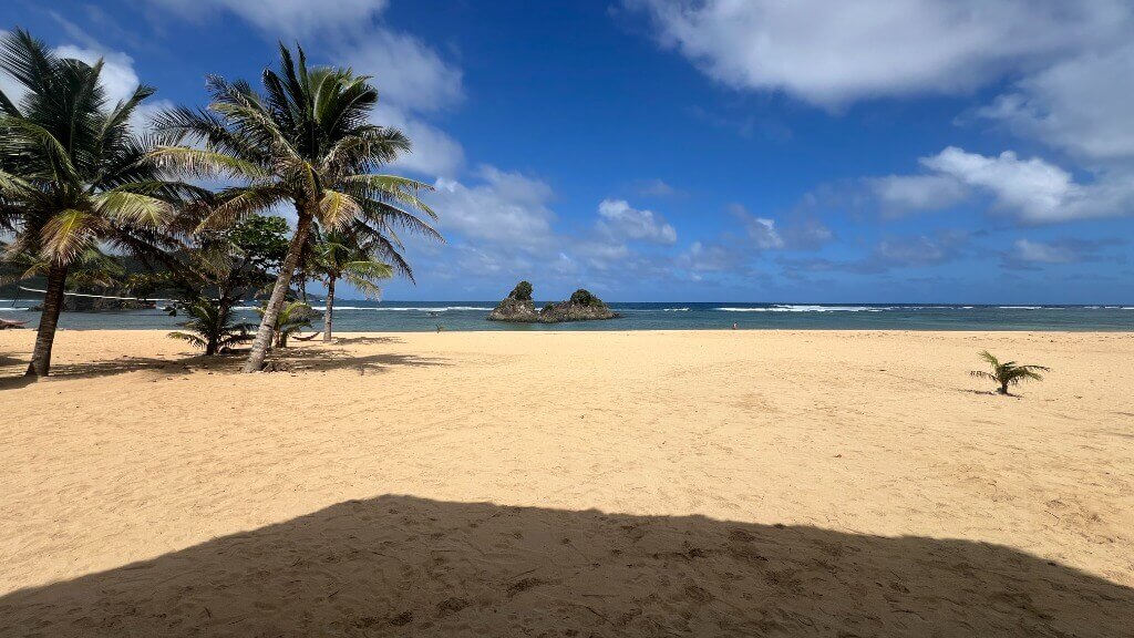 Puraran Beach with palm trees and rock formations